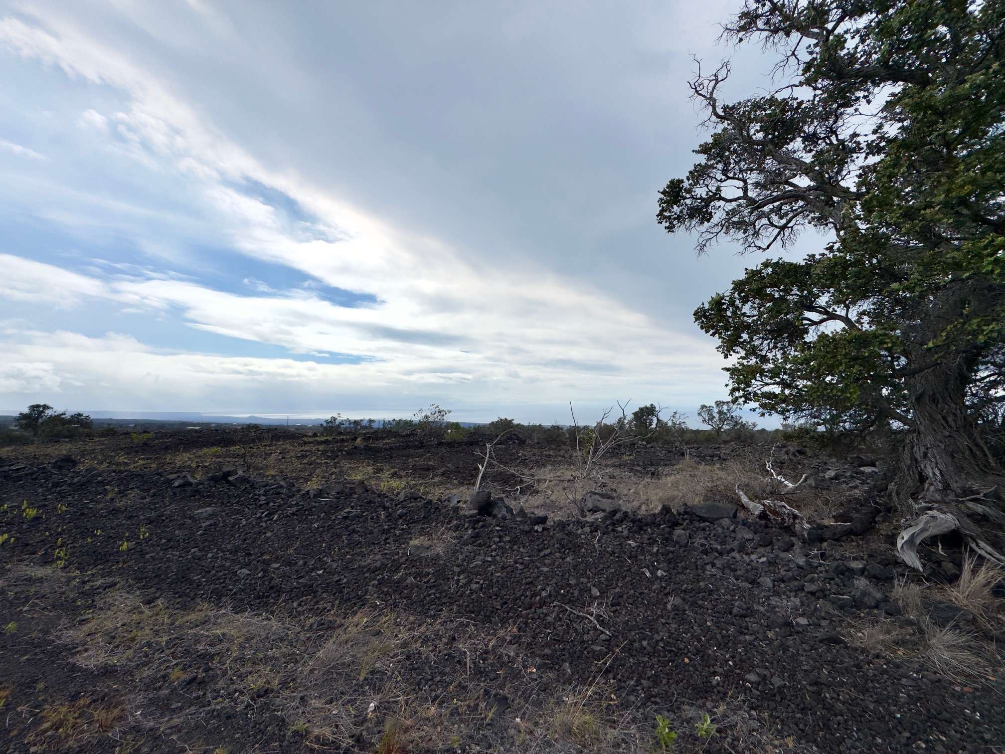 Ocean View, HI 96737,JASMINE DR