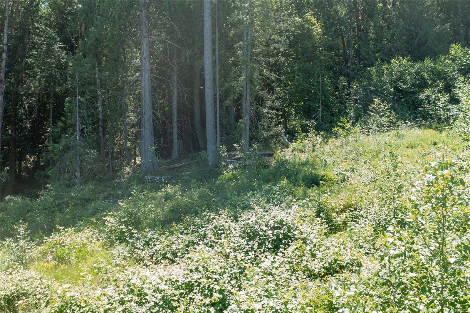 Ladysmith, BC V9G 1T7,128 Rollie Rose Dr