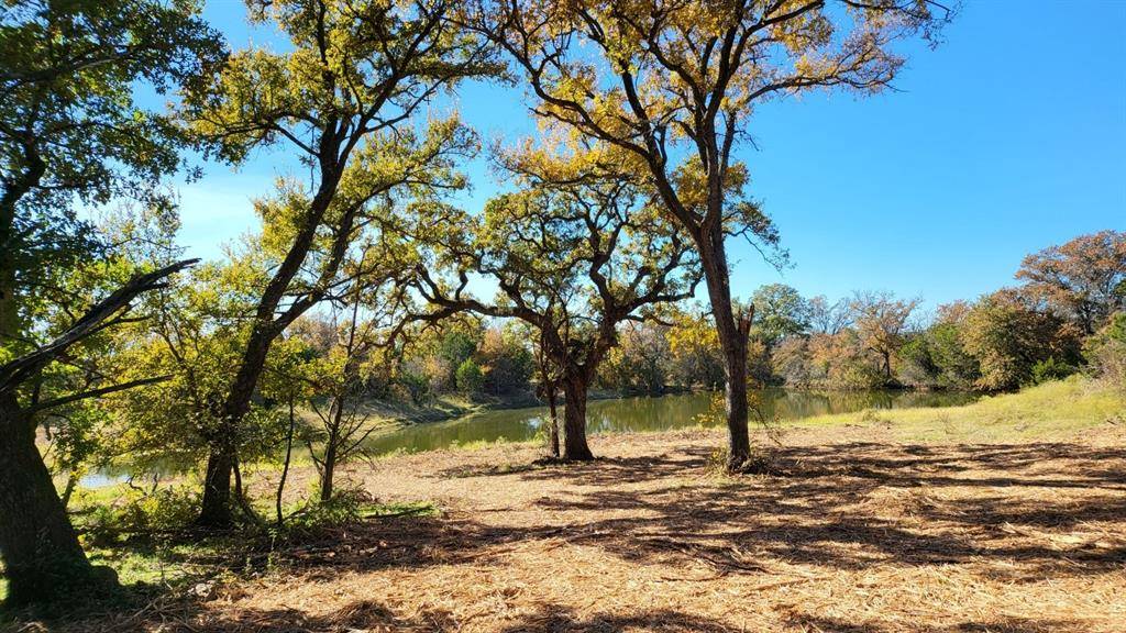 Palo Pinto, TX 76484,130 New Hope Lane