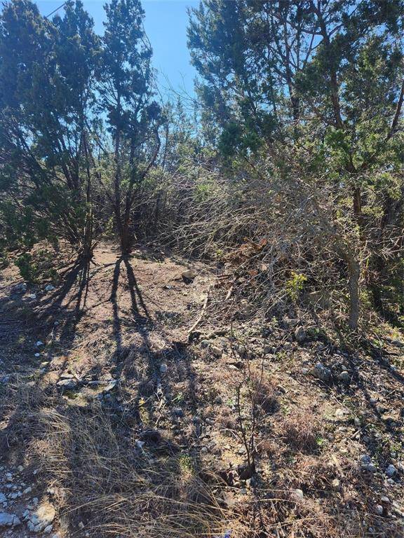 Cleburne, TX 76033,1005 Overhill Drive