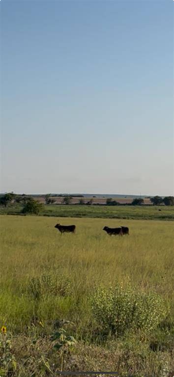 Hamilton, TX 76531,3481 County Road 404