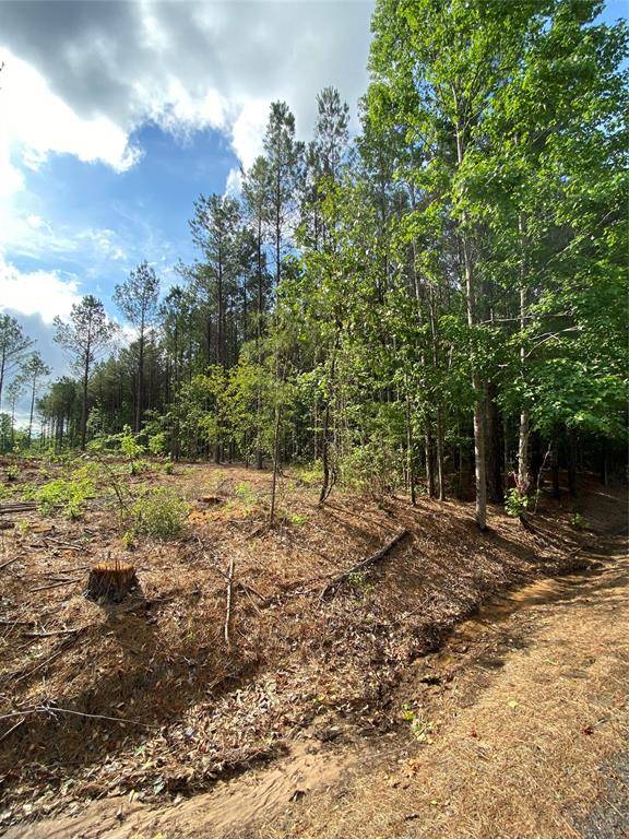 Plain Dealing, LA 71064,000 old plain dealing rd