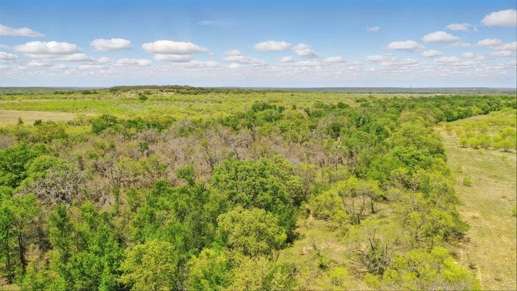 Gorman, TX 76454,1359 County Road 195