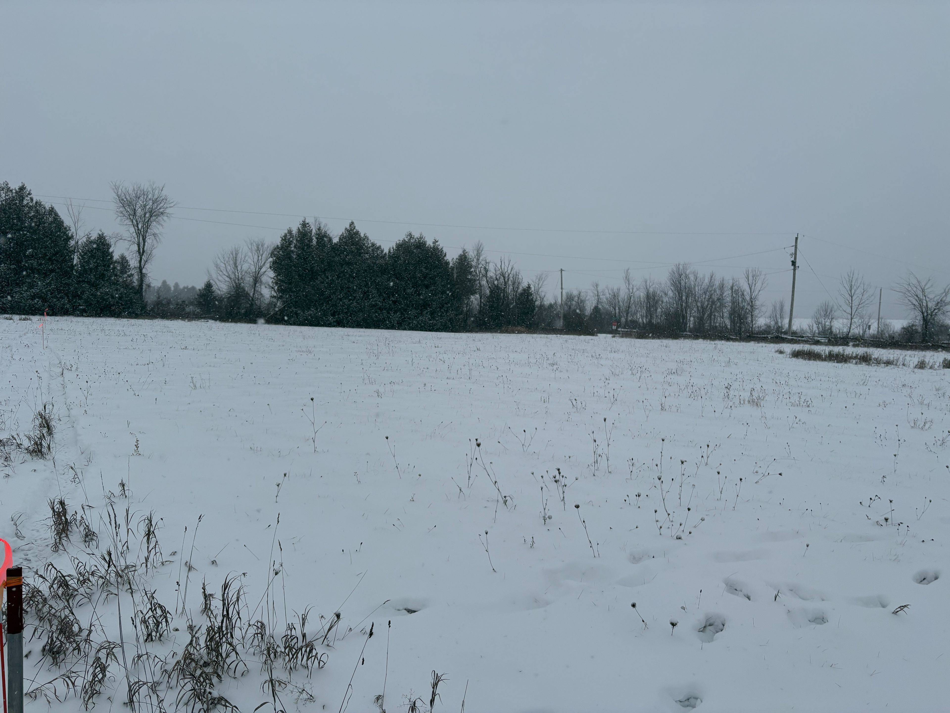 Douro-dummer, ON K0L 2H0,0 Cooney Island RD