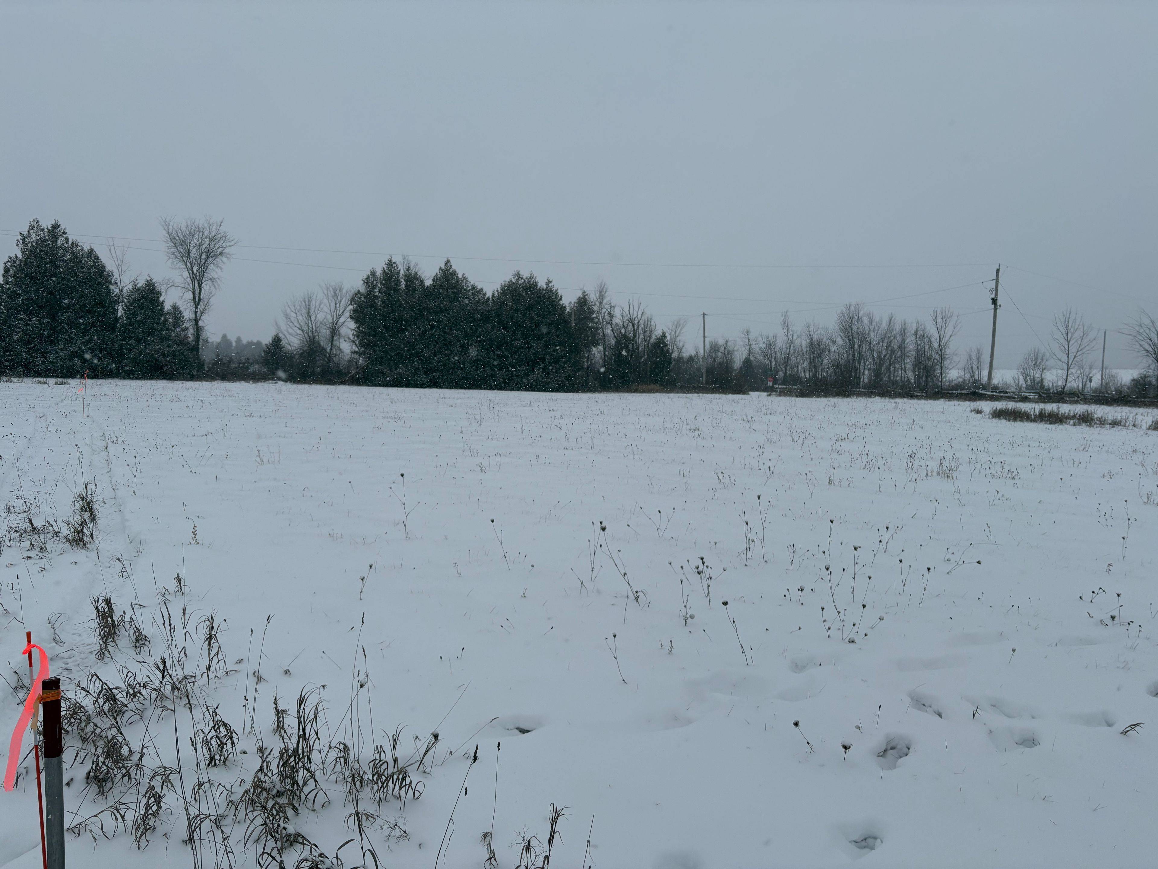 Douro-dummer, ON K0L 2H0,0 Cooney Island RD