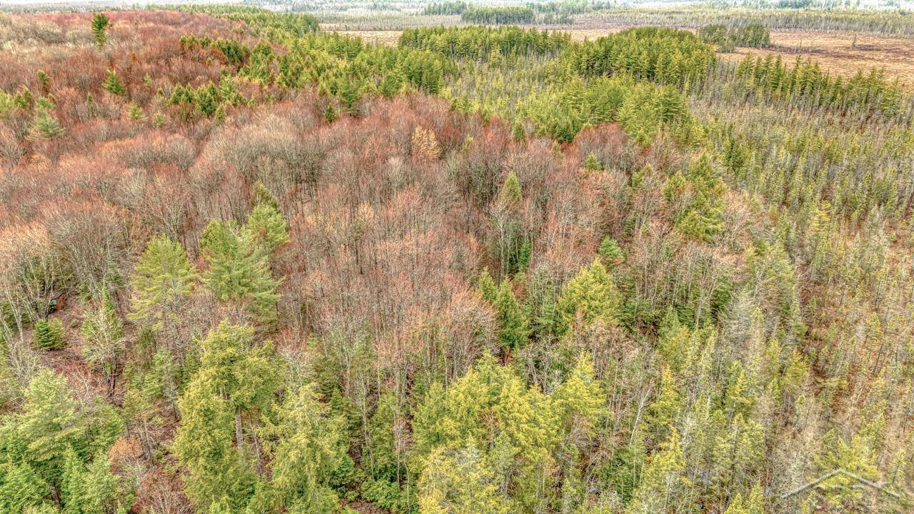 Wetmore, MI 49895,N948 Old Plank RD