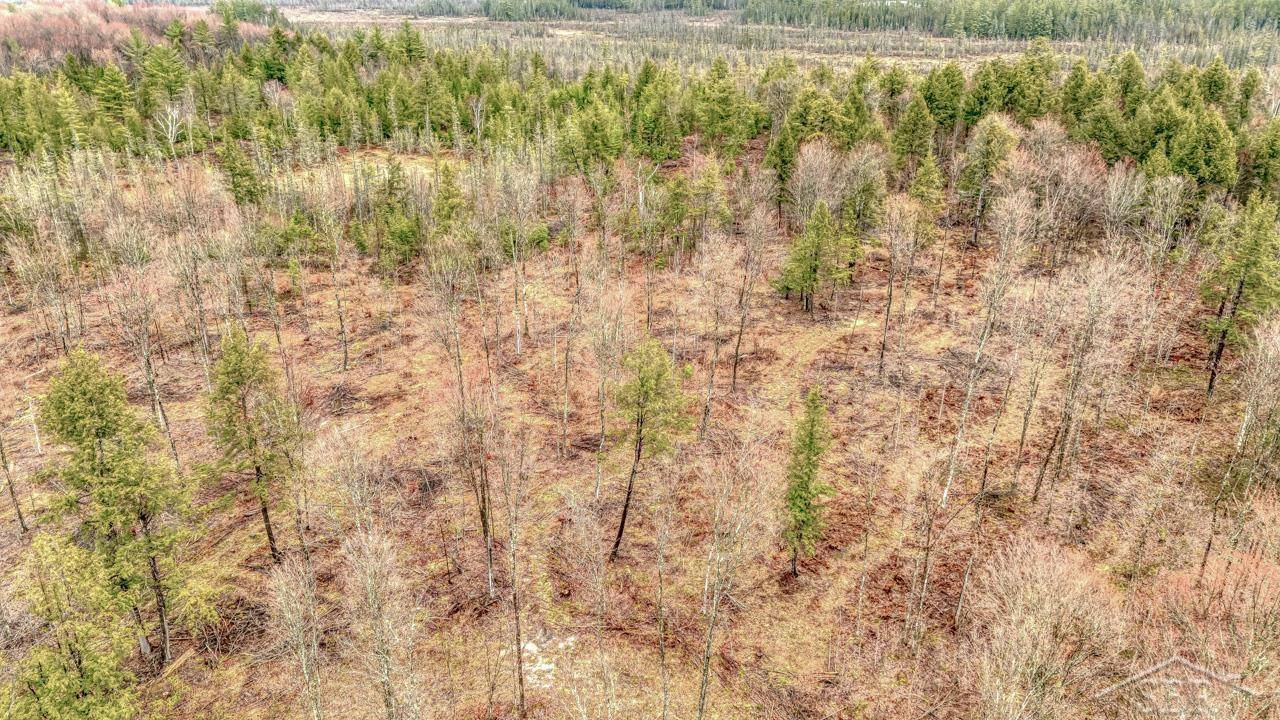 Wetmore, MI 49895,N948 Old Plank RD