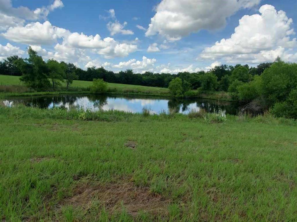 Emory, TX 75440,Lot 5 Rains CR1140 Road