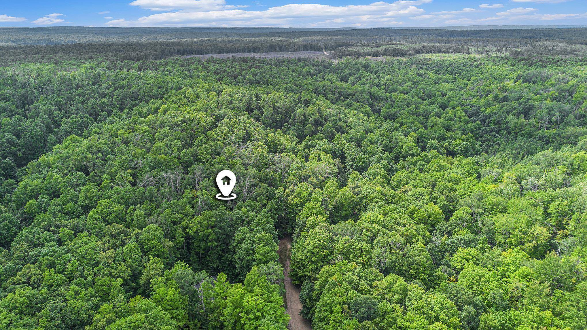 Kalkaska, MI 49646,13218 NE Heller CT