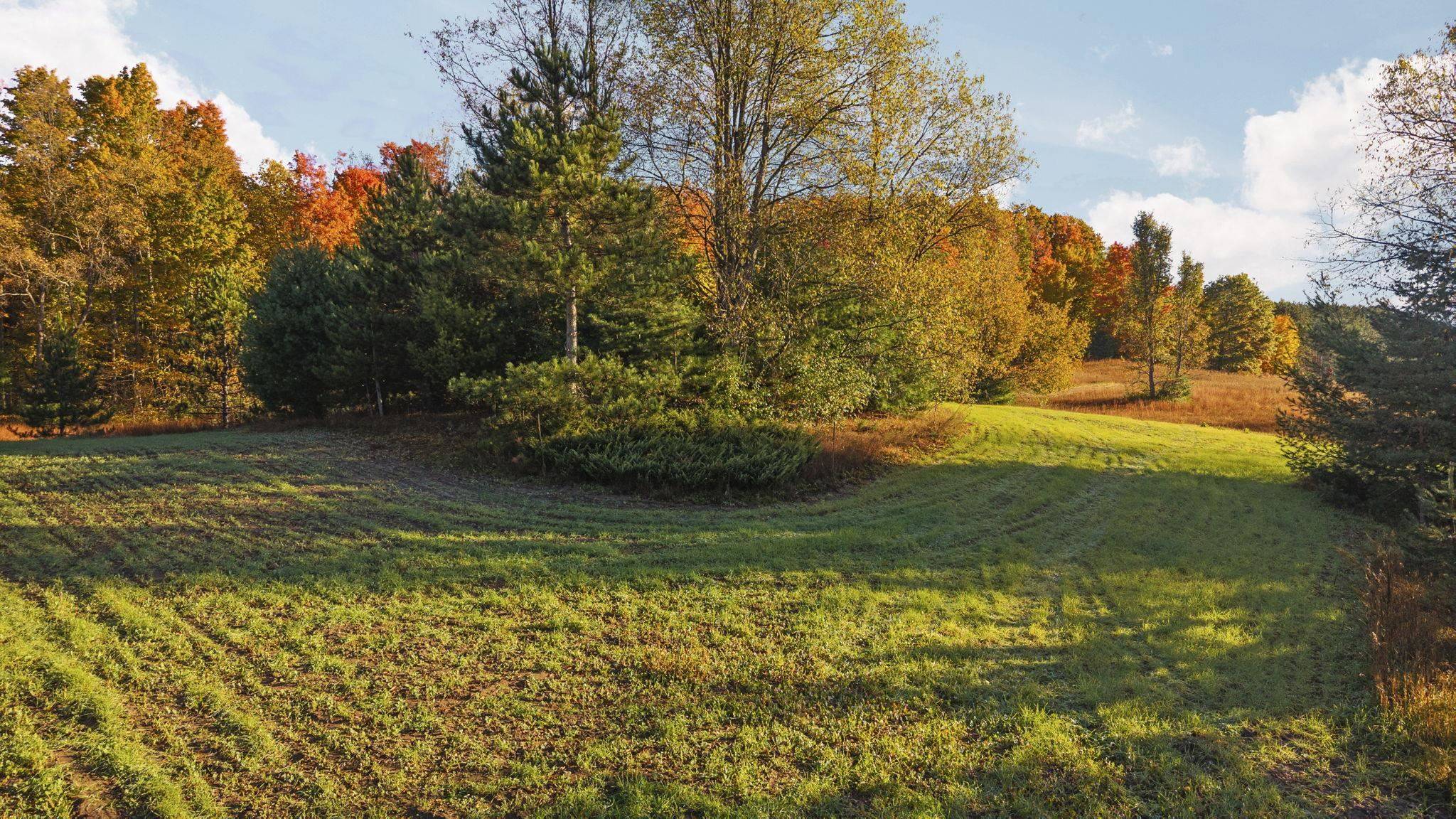 Fife Lake, MI 49633,0 Fife Lake RD