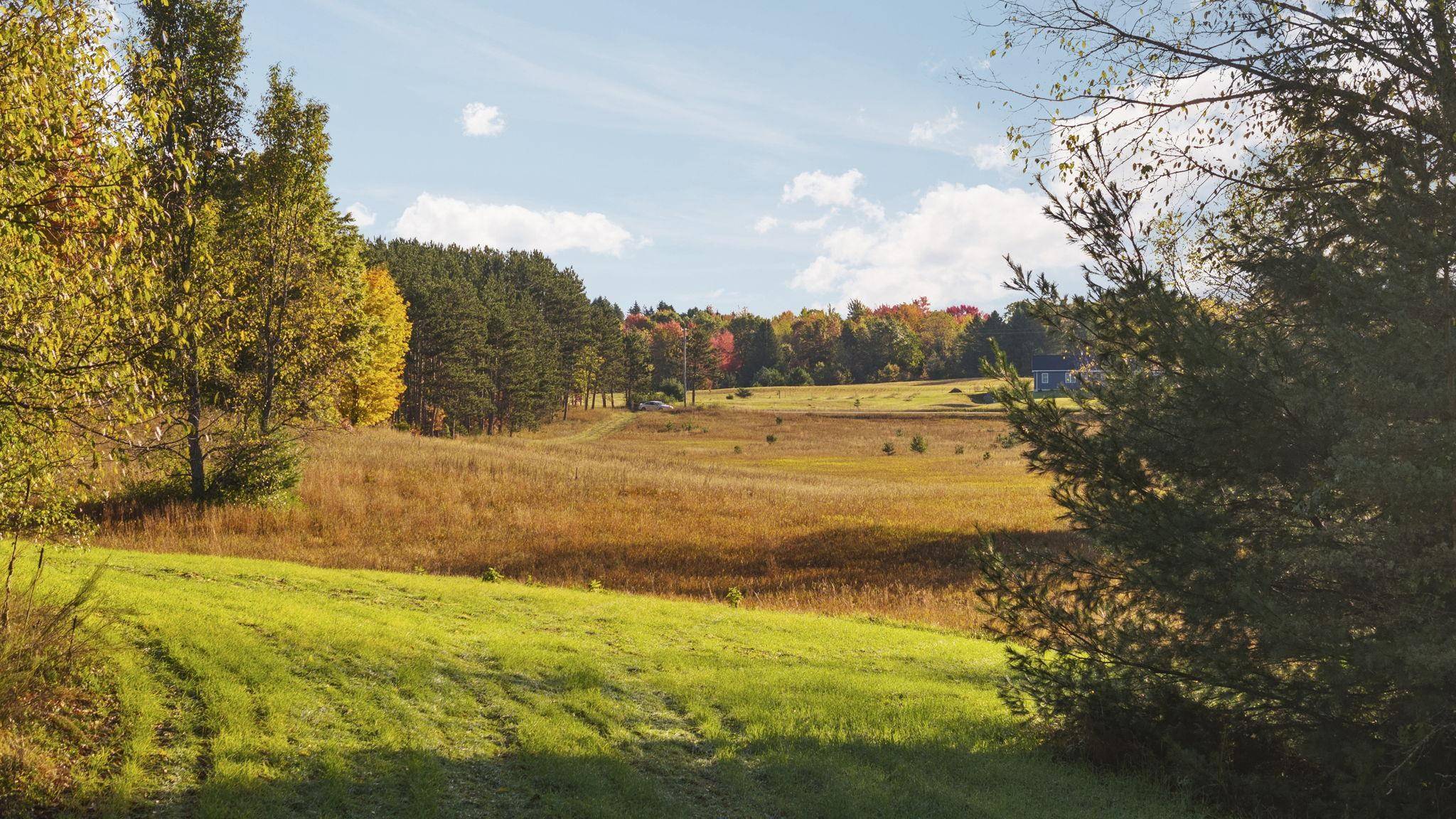 Fife Lake, MI 49633,0 Fife Lake RD