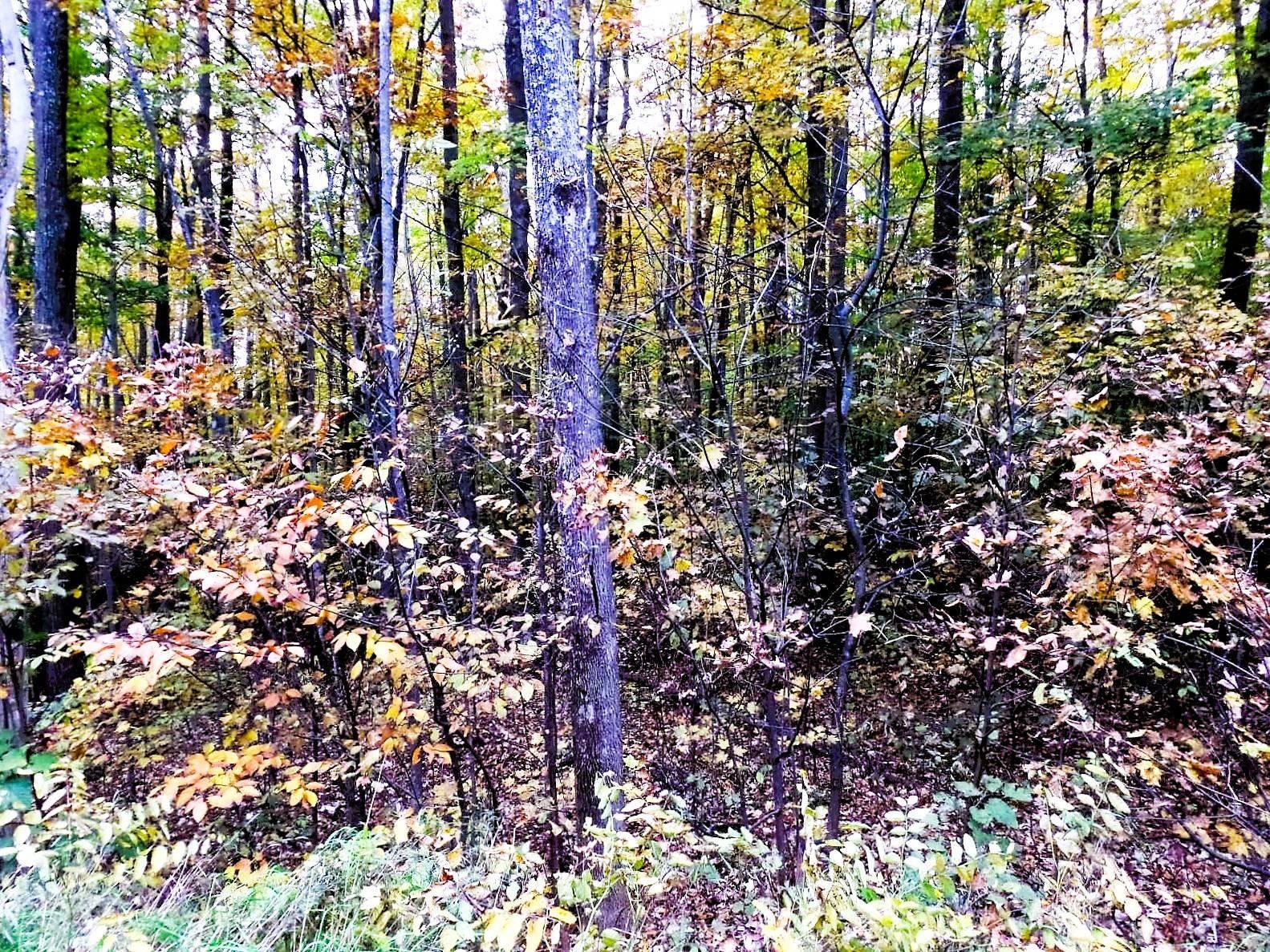 Bellaire, MI 49615,Lot 224 Matterhorn LN