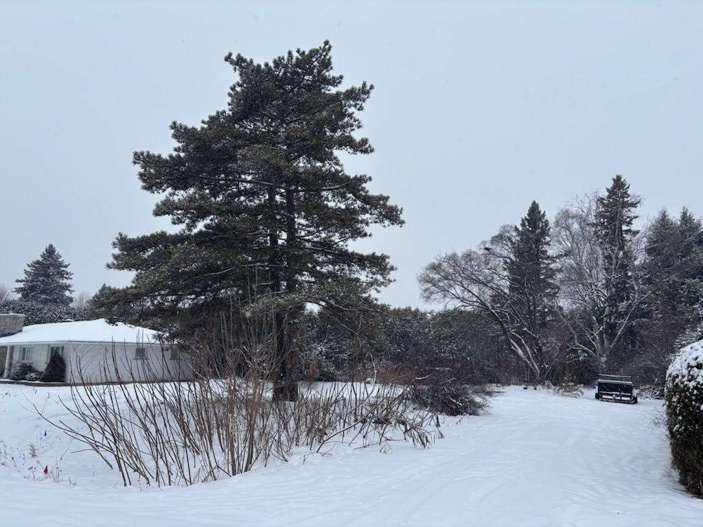 Billings Bridge - Riverside Park And Area, ON K1V 7E4,267 Marilyn AVE