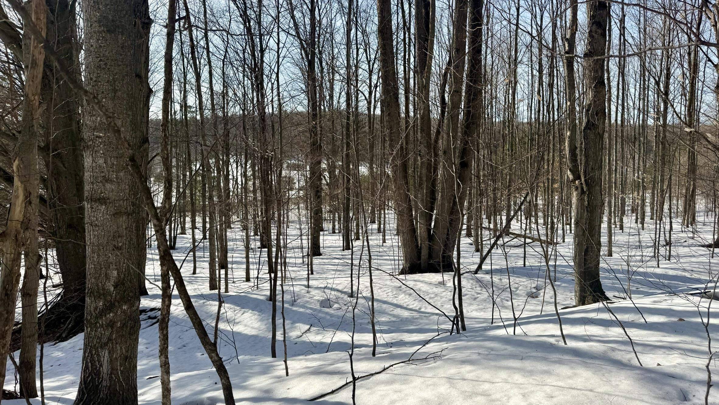 Bellaire, MI 49615,Lot 202 Clearview DR