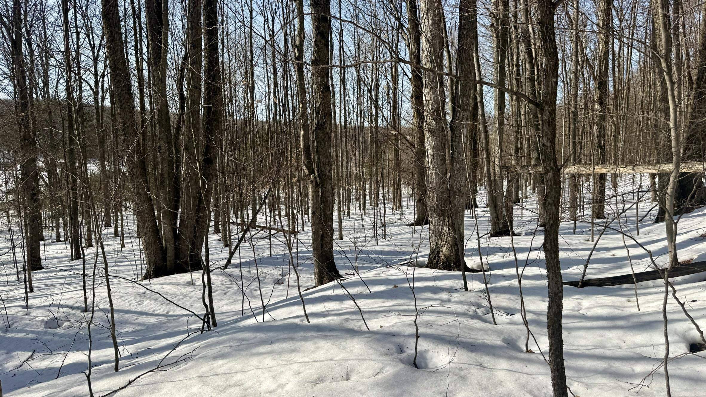 Bellaire, MI 49615,Lot 202 Clearview DR