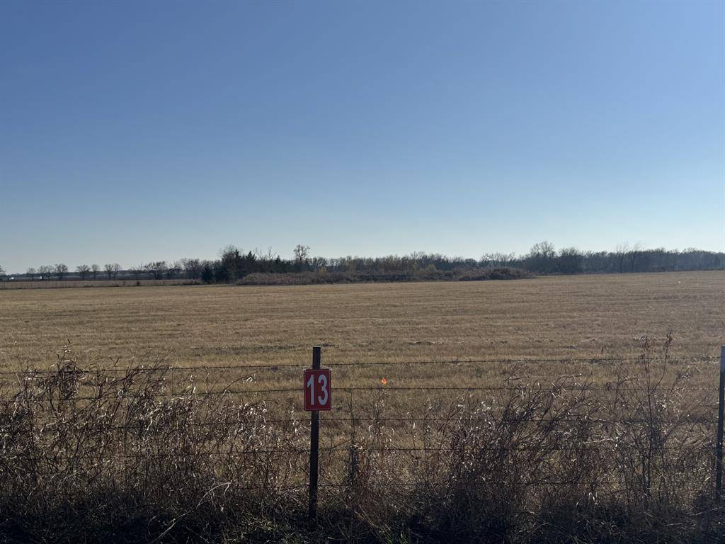 Pattonville, TX 75468,TBD LOT 13 CR 15200