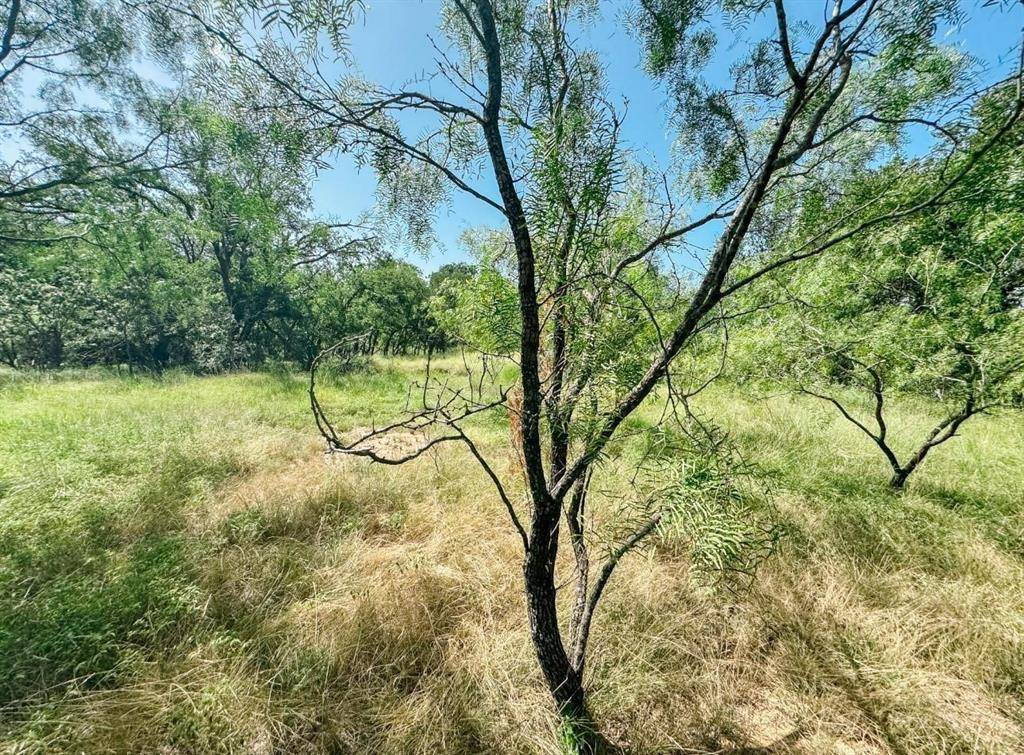 Brownwood, TX 76801,3105 Morris Sheppard Drive