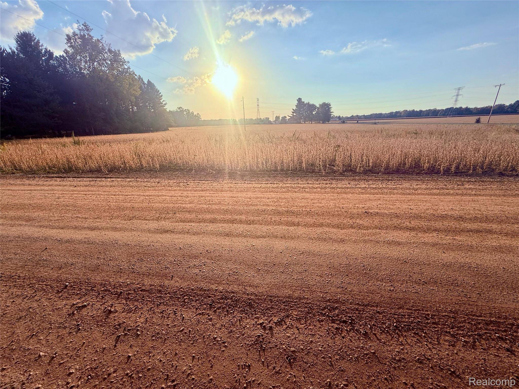 Chesaning, MI 48616,00 Raucholz RD