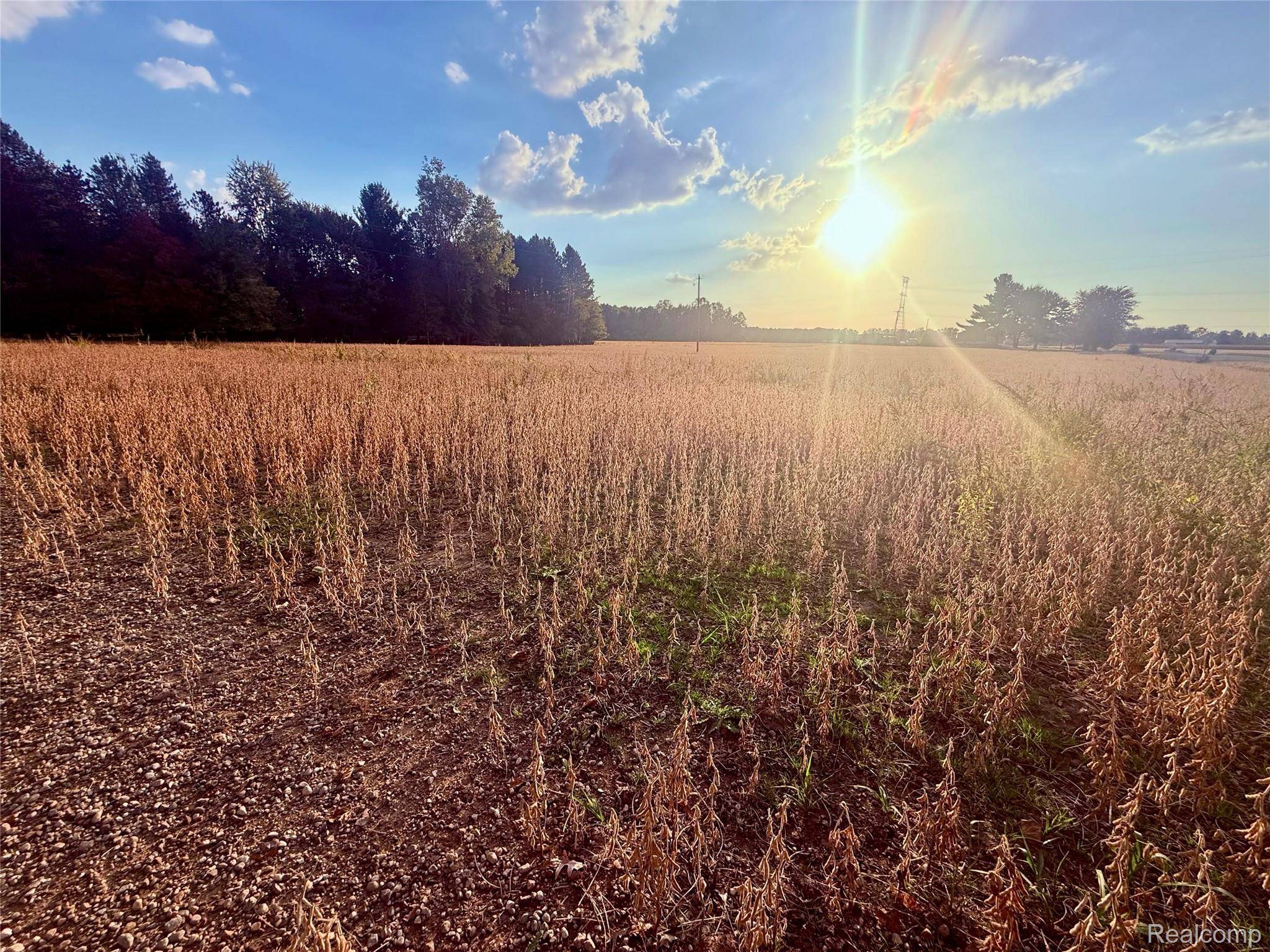 Chesaning, MI 48616,00 Raucholz RD