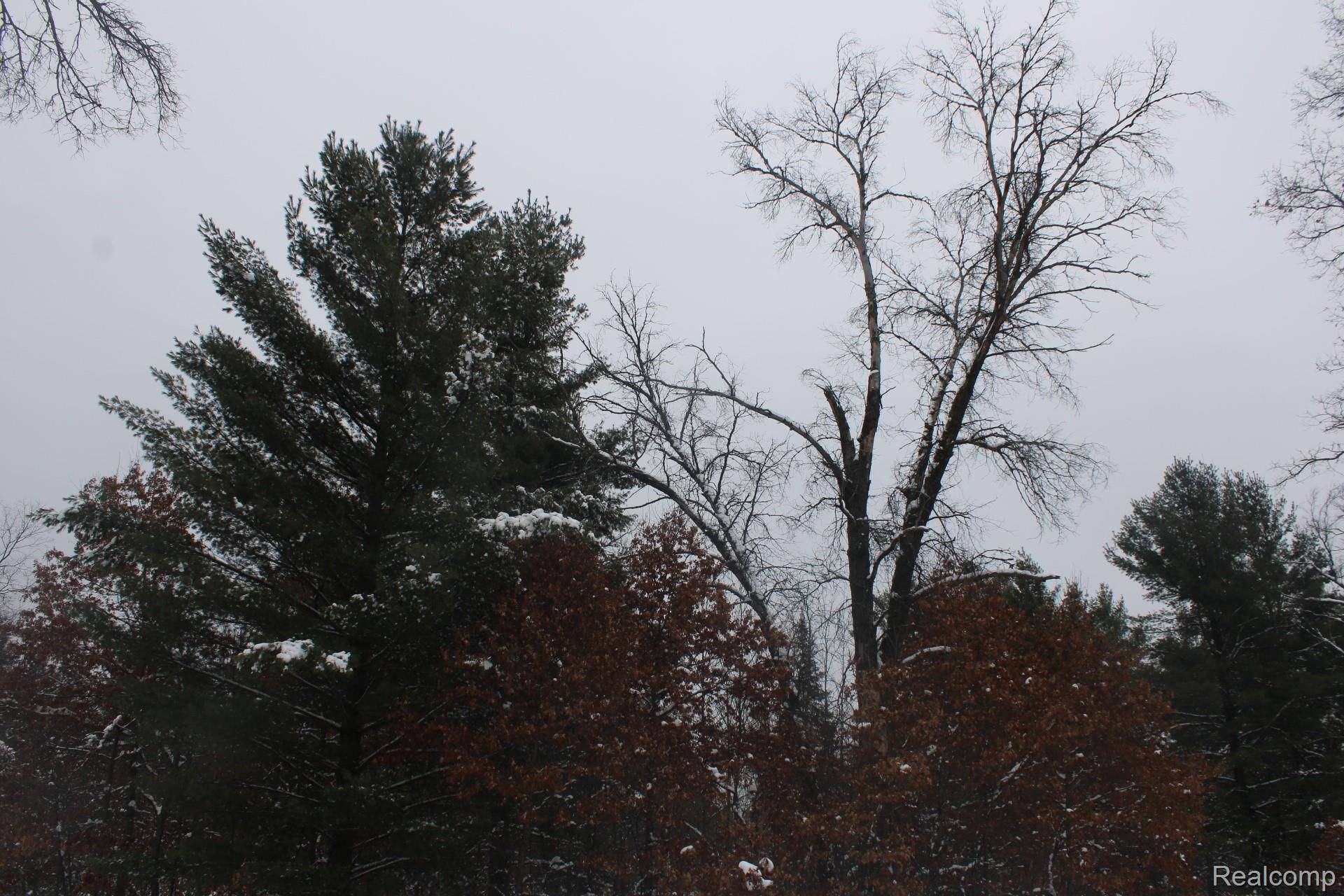 Alger, MI 48610,VL Good. RD