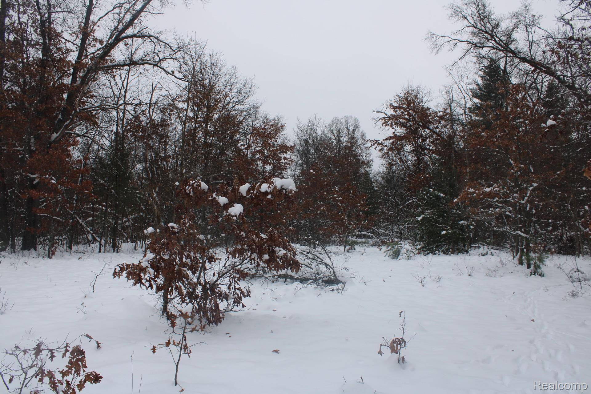 Alger, MI 48610,VL Good