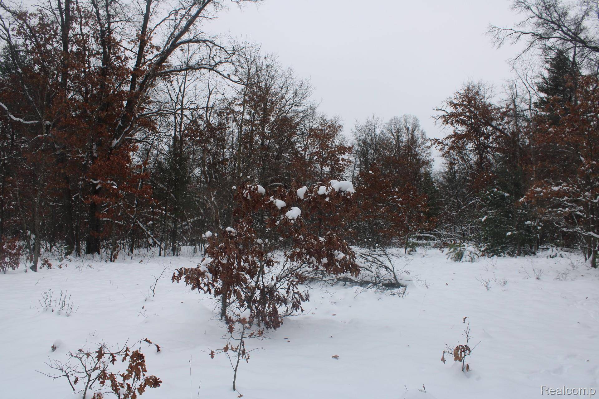 Alger, MI 48610,VL Good