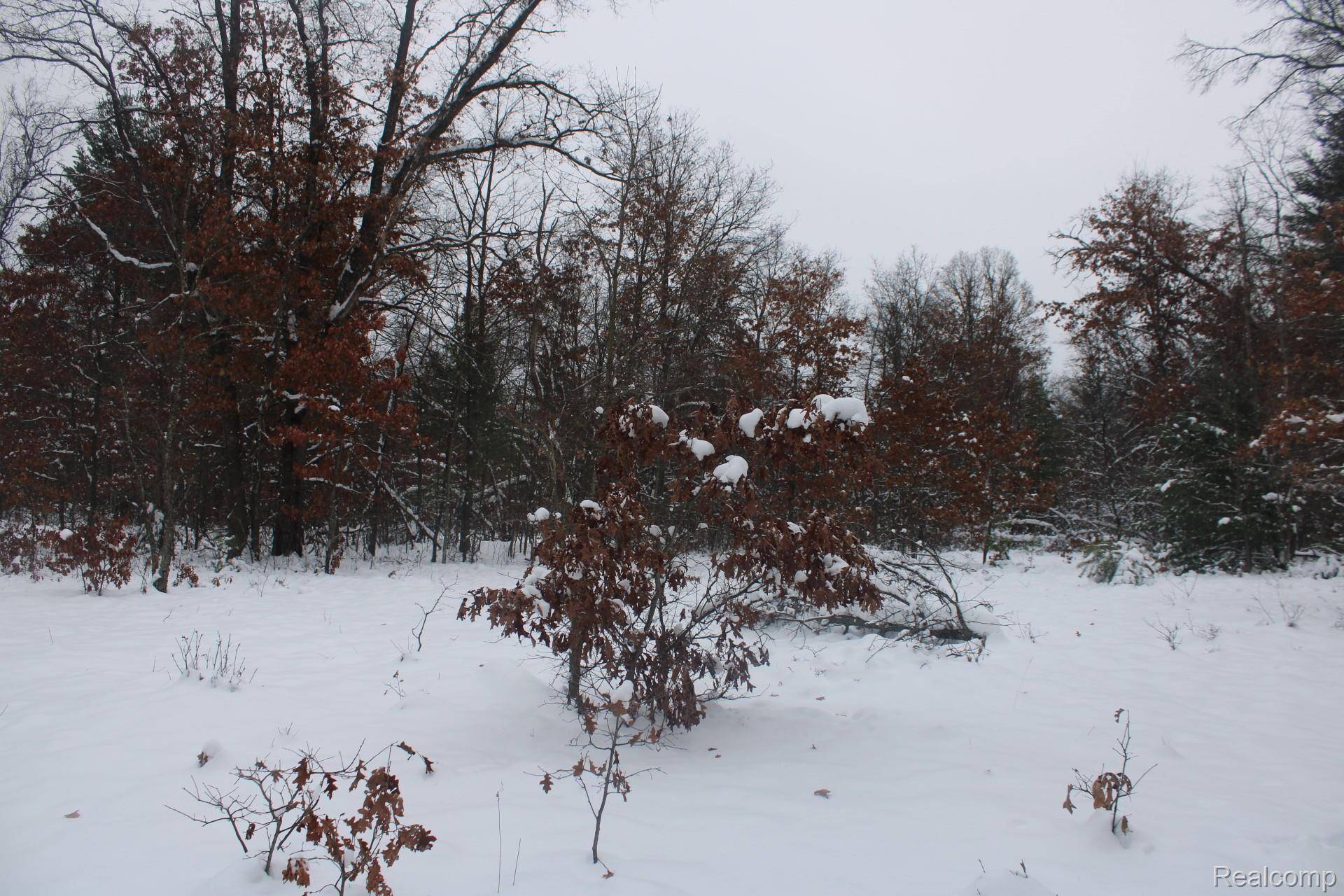 Alger, MI 48610,VL Good