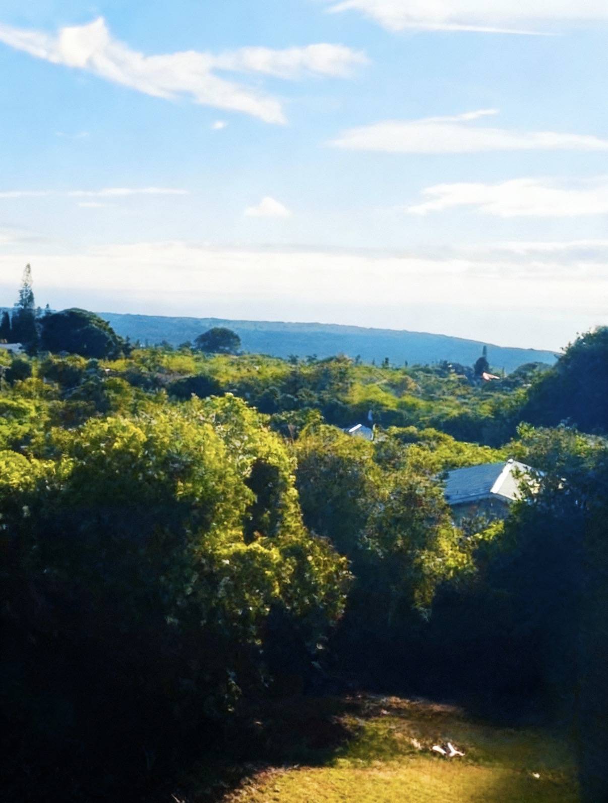 Naalehu, HI 96772,KUAMOO RD