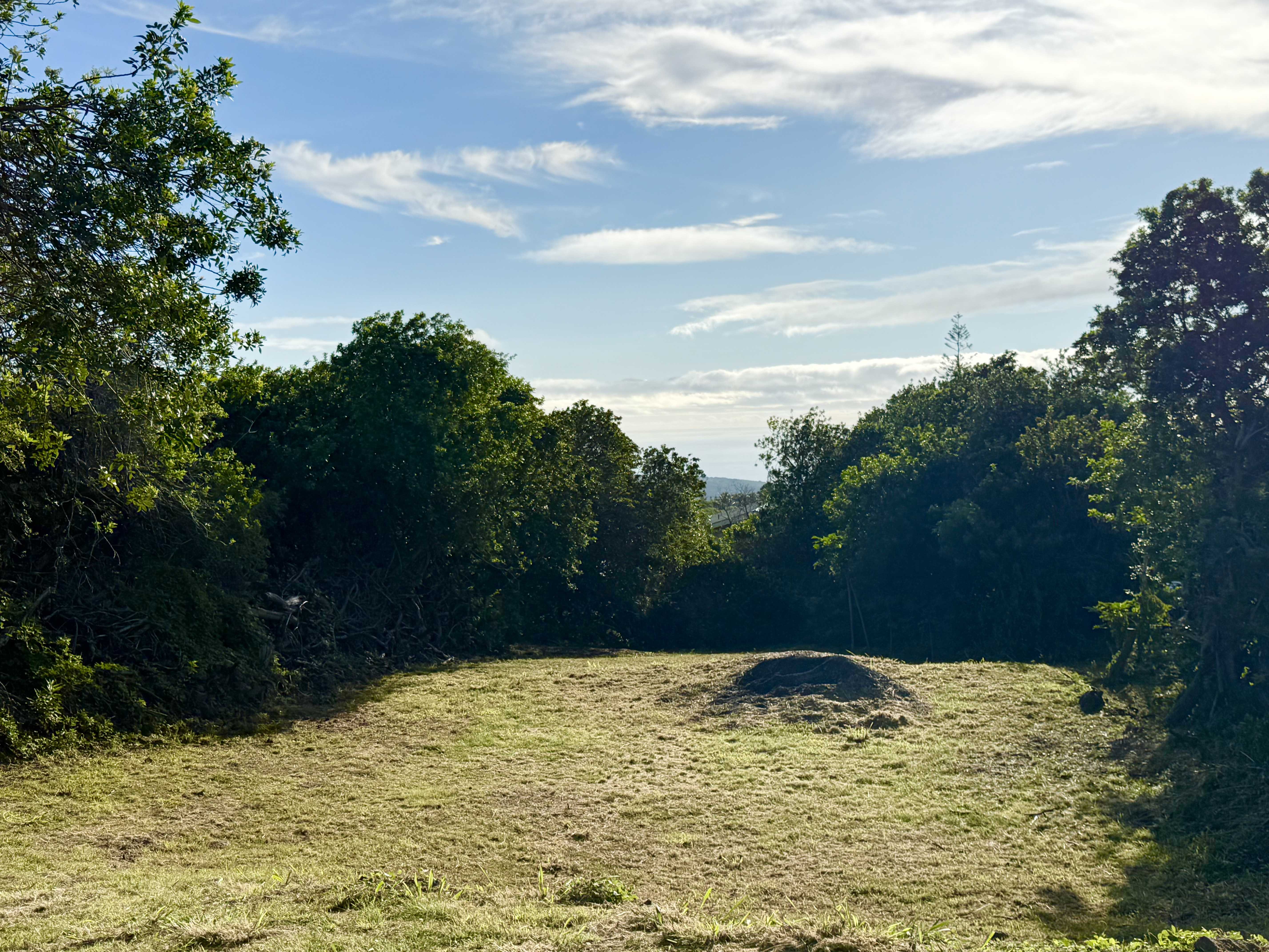 Naalehu, HI 96772,KUAMOO RD