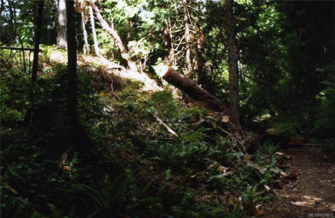 Langford, BC V9E 1E4,1028 Finlayson Arm Rd