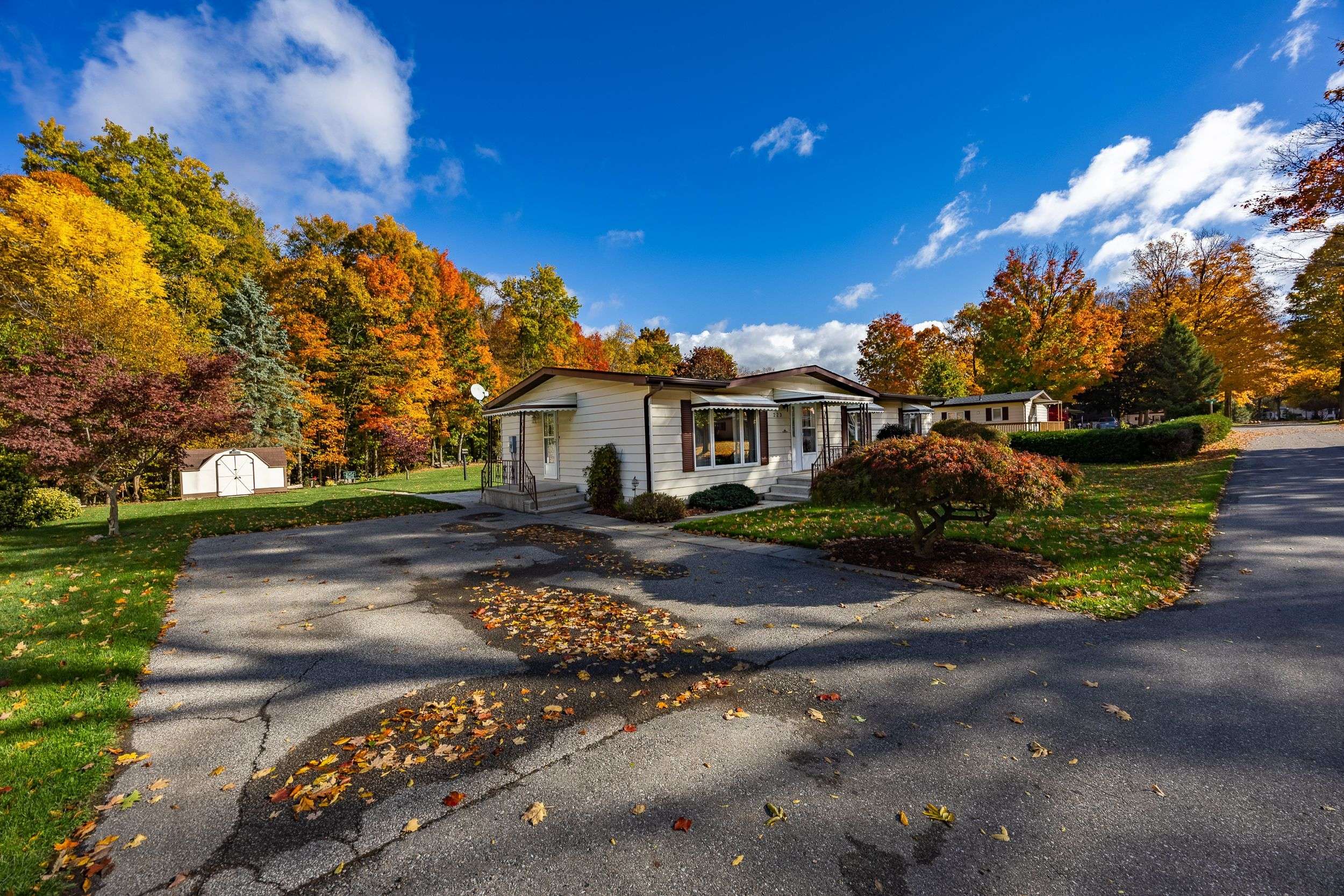 Bayham, ON N0J 1H0,10085 Culloden RD