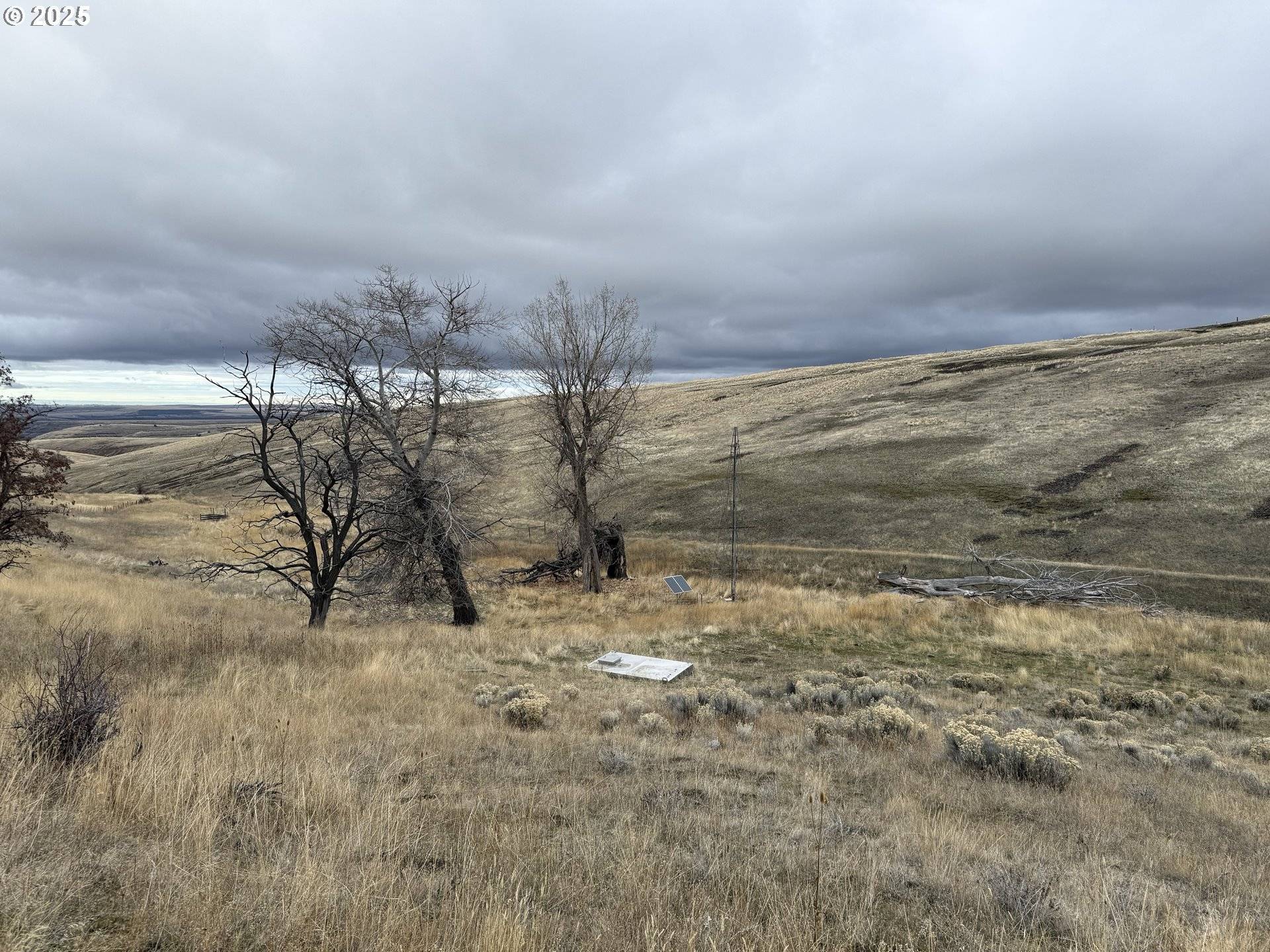 Unknown, OR 97823,Badger Canyon RD