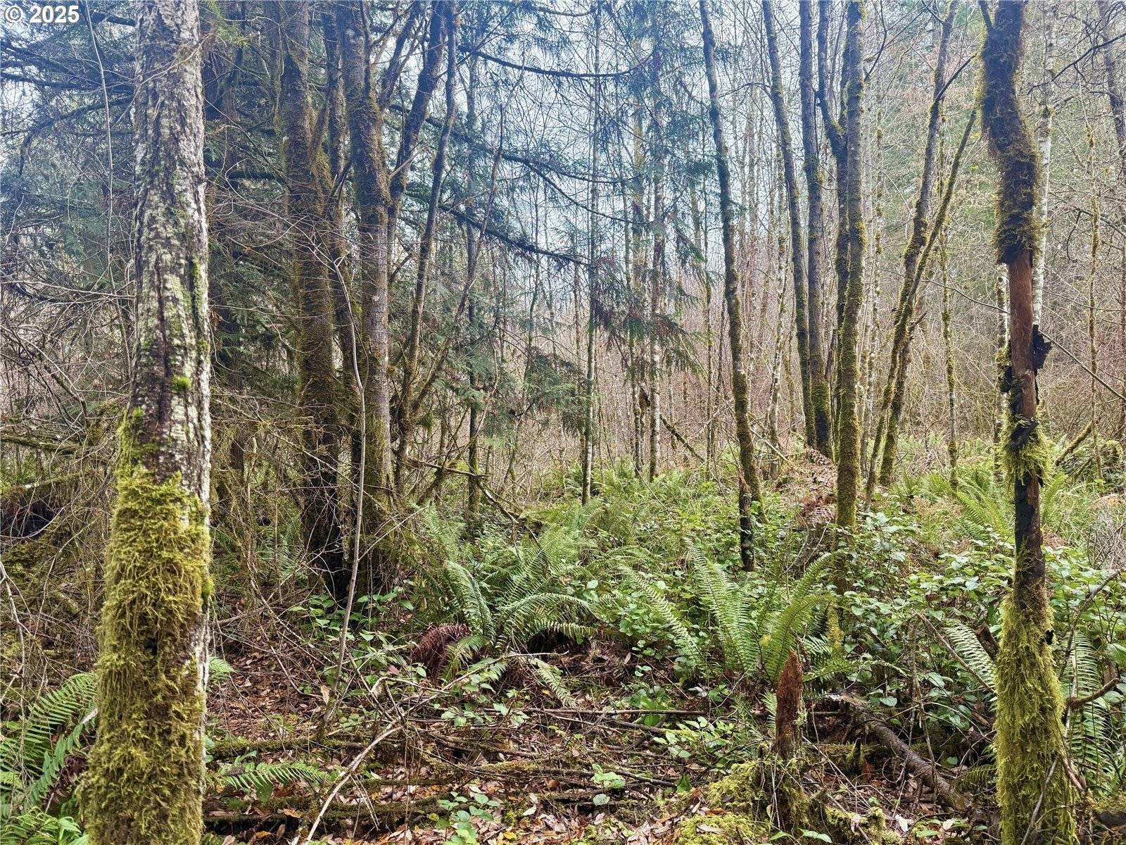 Toledo, WA 98591,298 BOONE RD