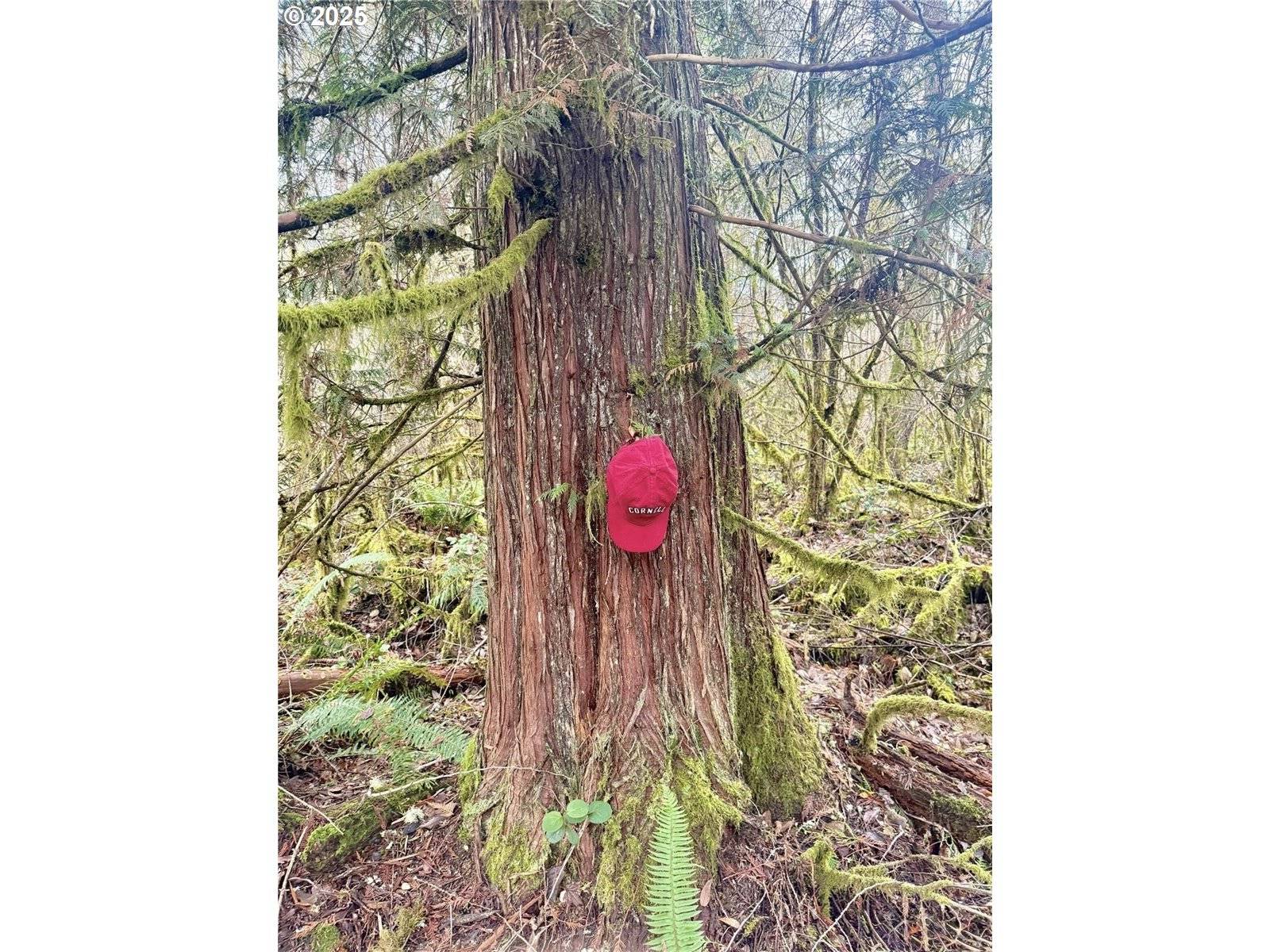 Toledo, WA 98591,298 BOONE RD