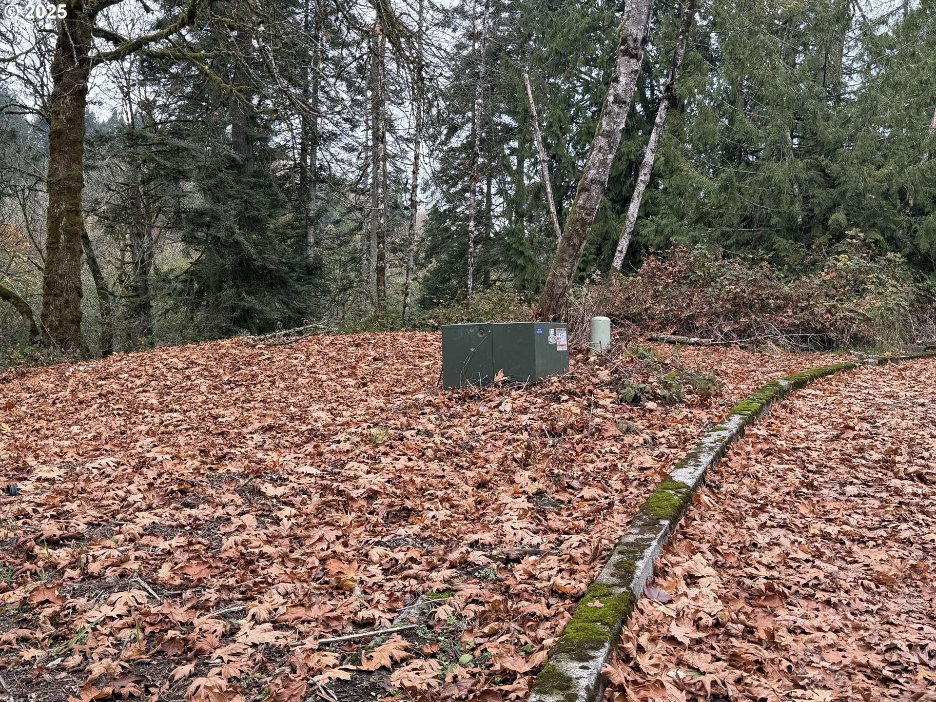 Longview, WA 98632,0 Maplewood DR