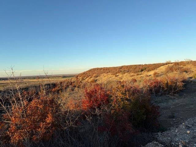 Rising Star, TX 76471,TBD County Road 436