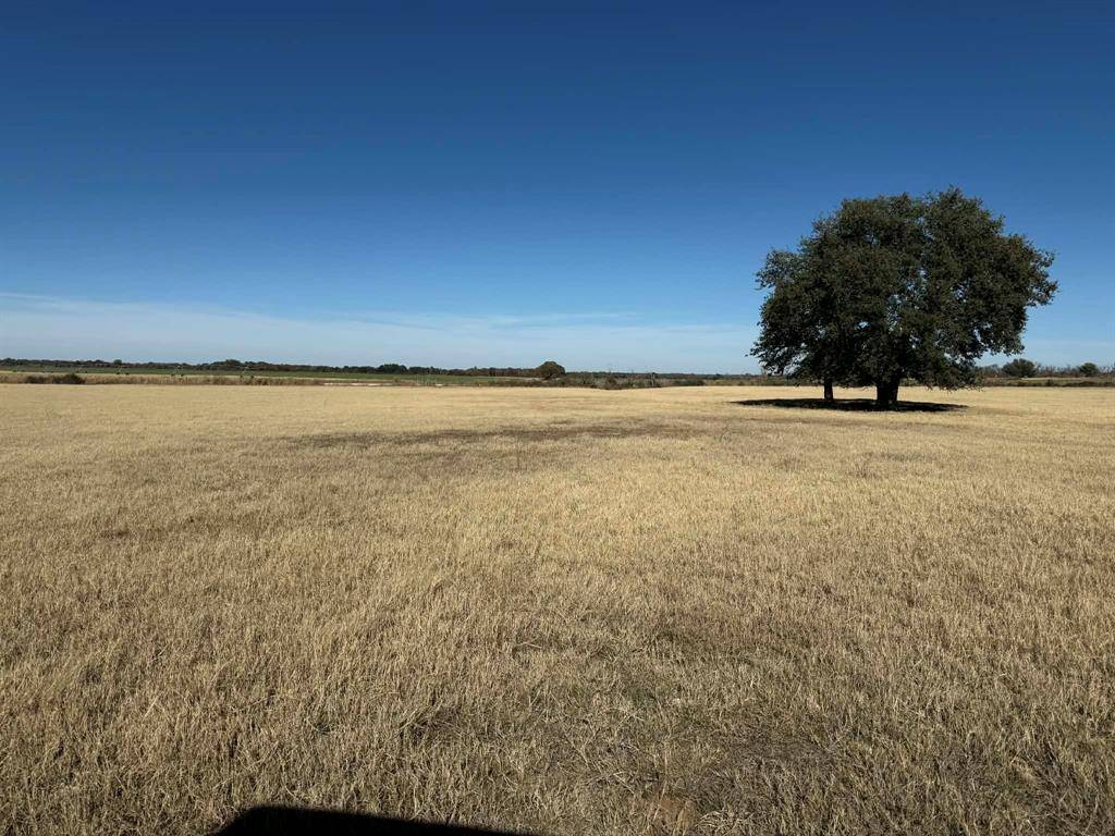 Rising Star, TX 76471,TBD County Road 436