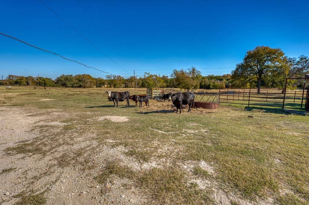 Salado, TX 76571,20949 Firefly Road