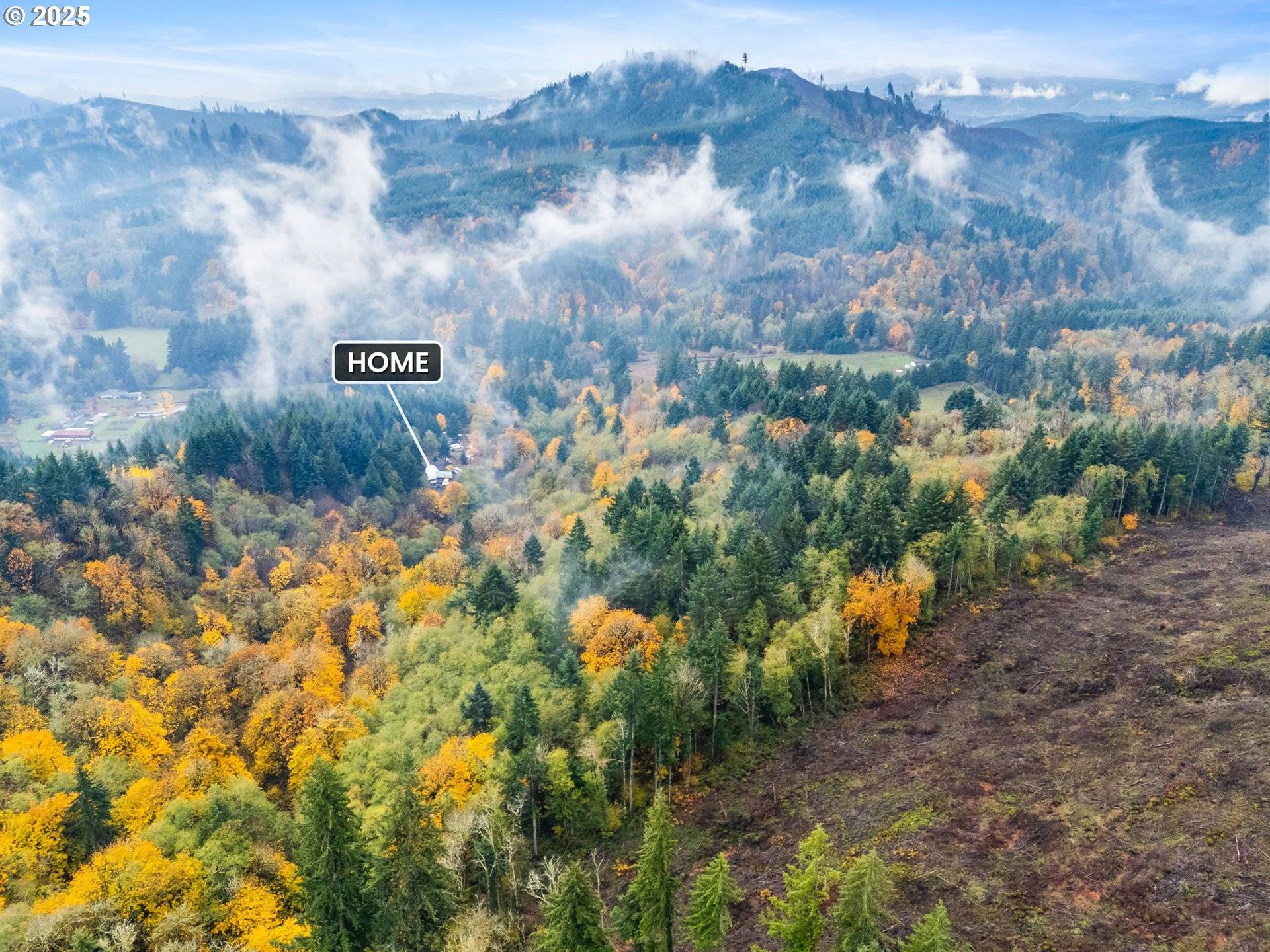 Winlock, WA 98596,1586 KING RD