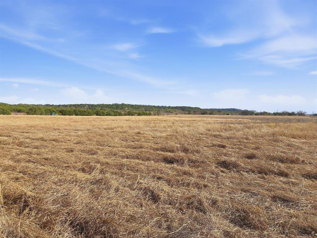 Hamilton, TX 76531,TBD FM 1602