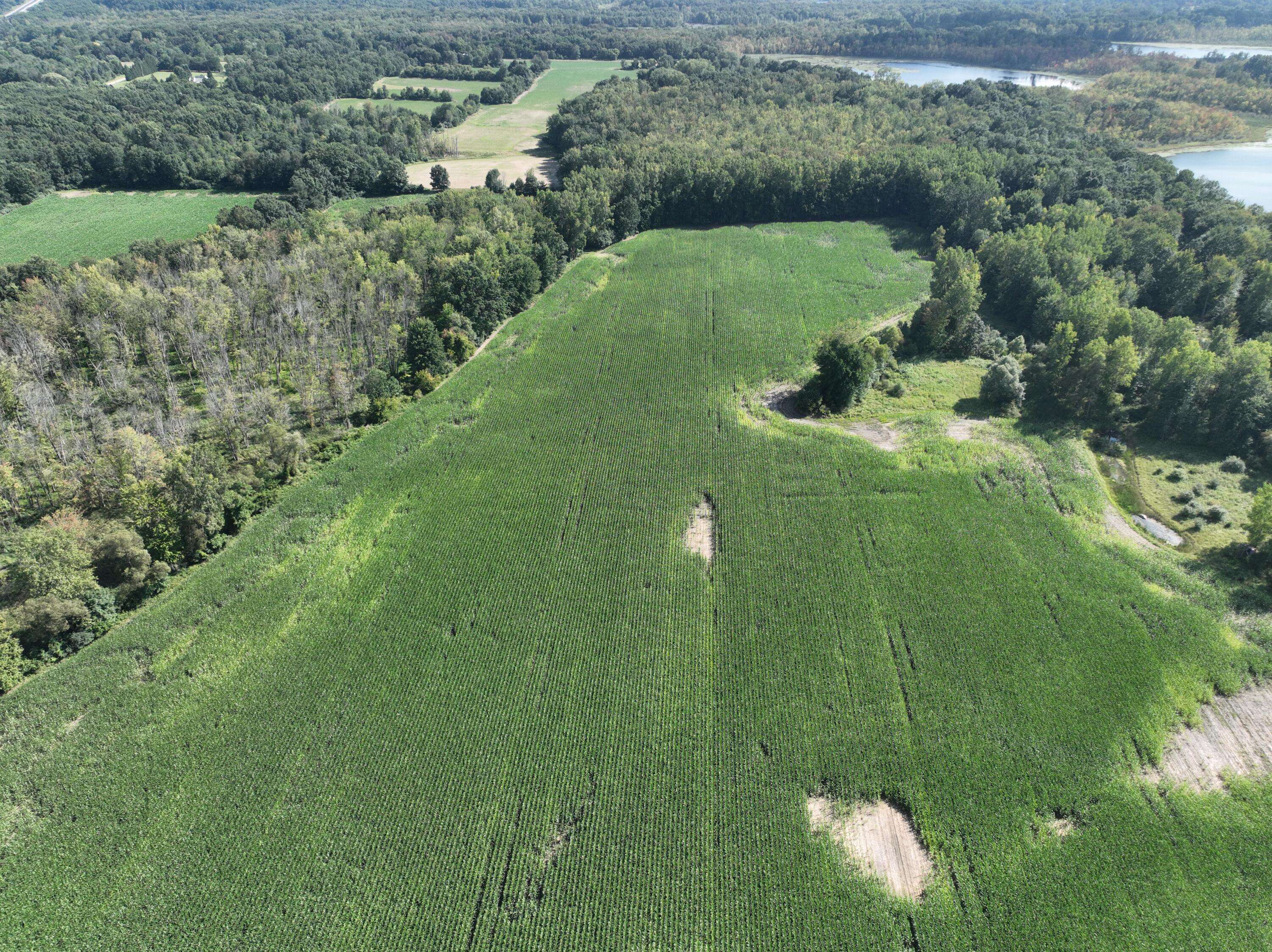 Holly, MI 48442,5300 Belford RD