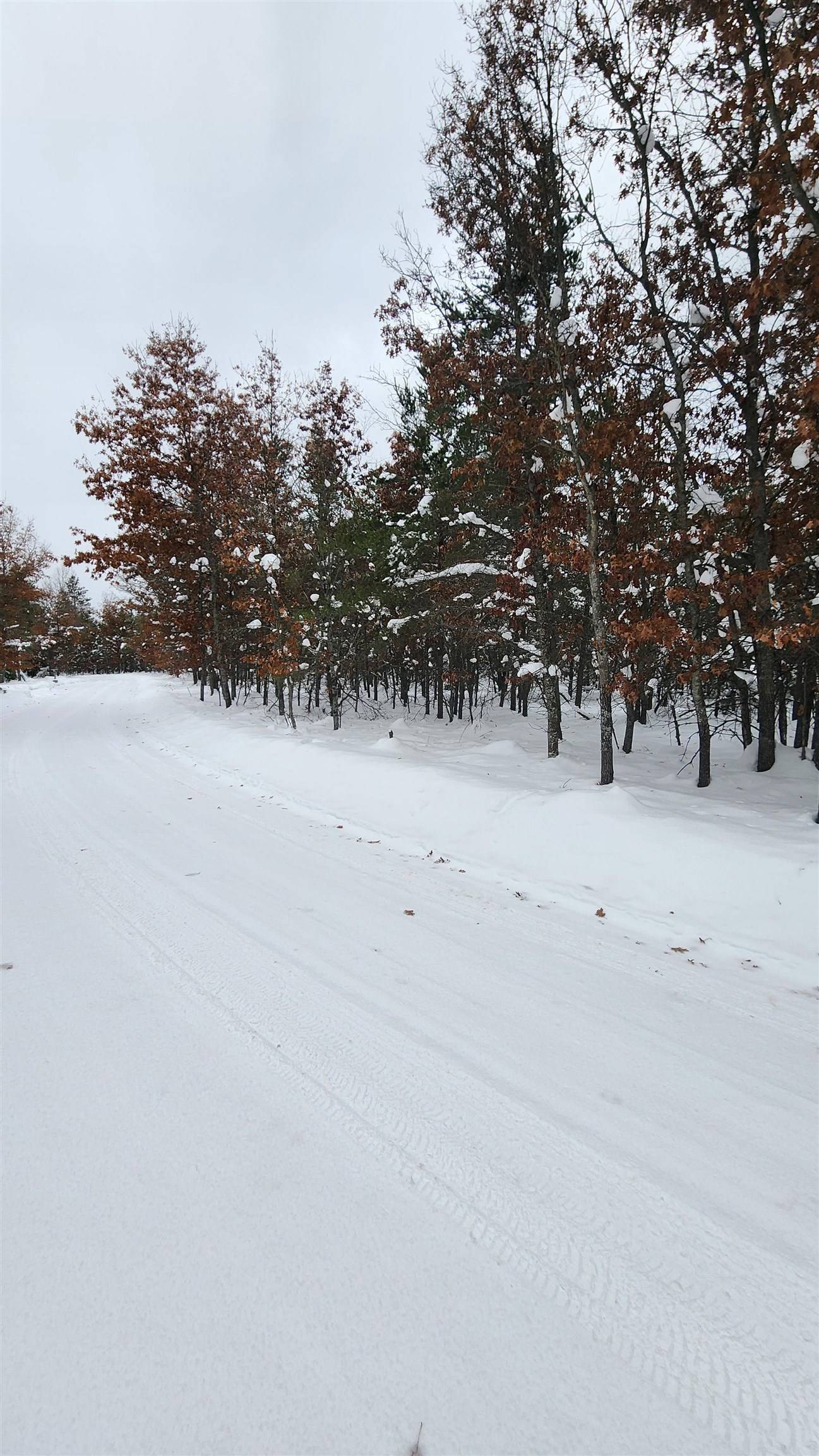 Grayling, MI 49738,Fiddlewood