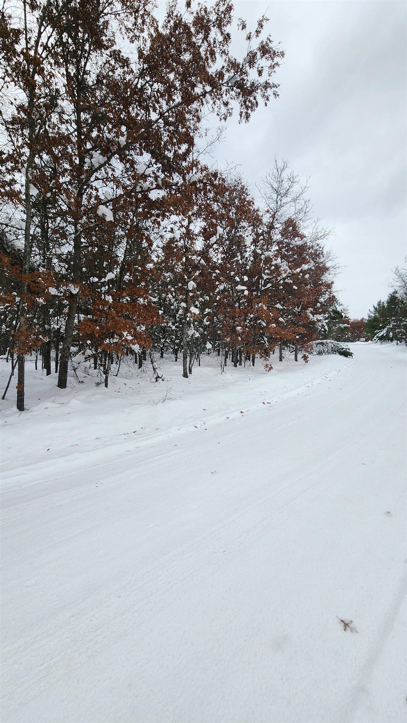 Grayling, MI 49738,Fiddlewood