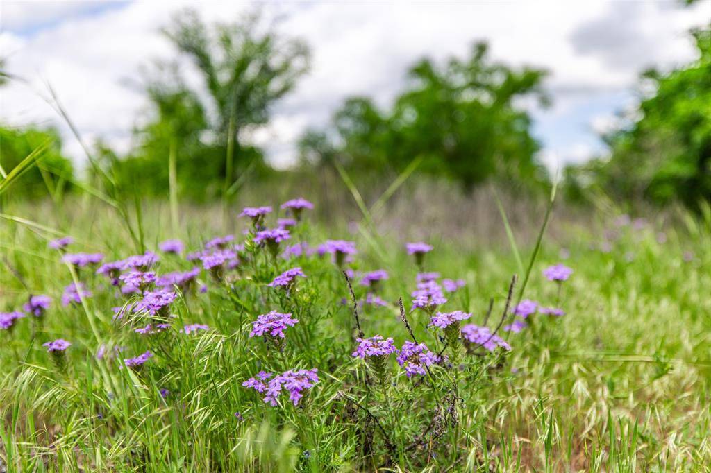 Weatherford, TX 76088,1728 Sweet Springs