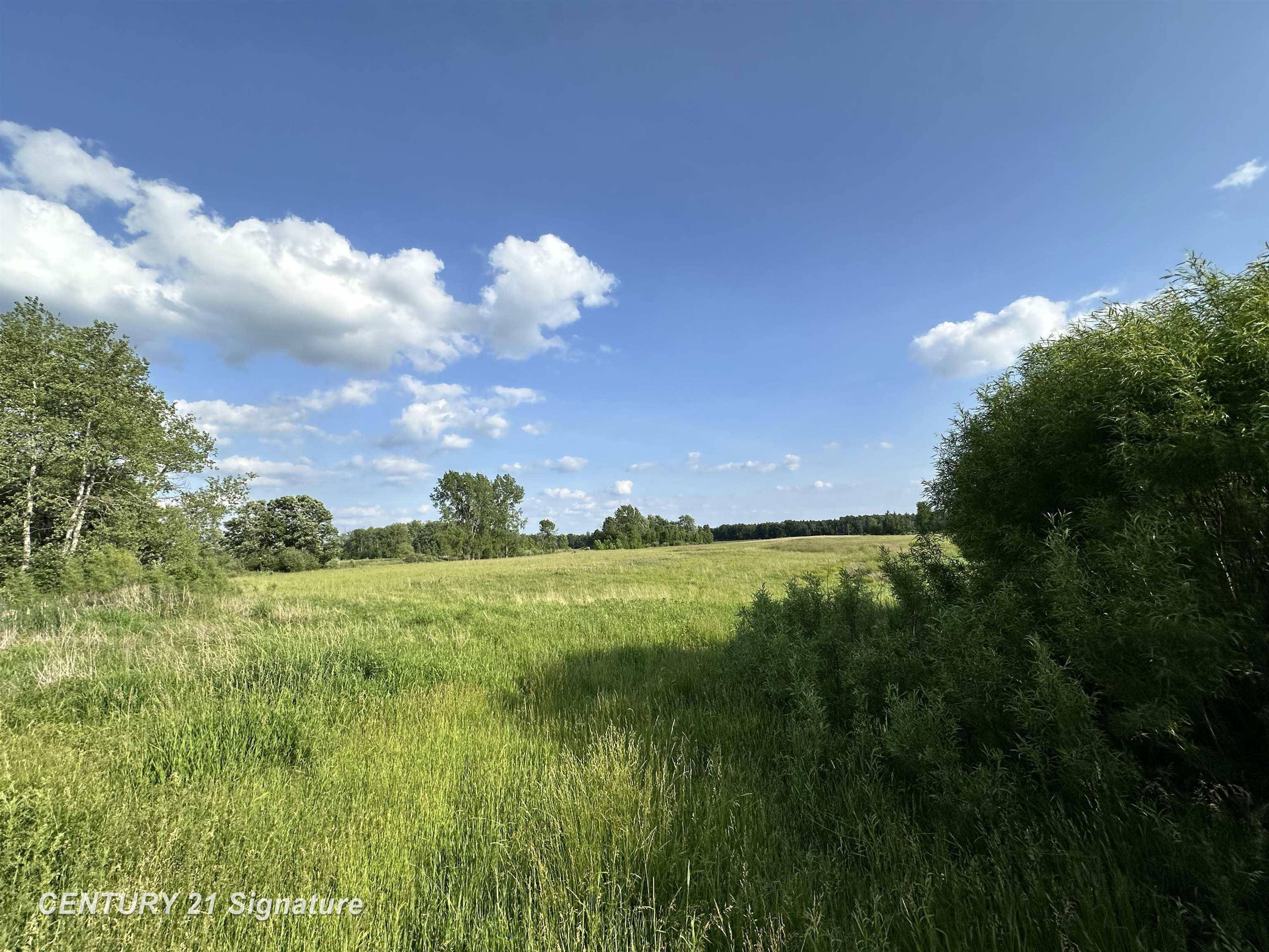 60 Estey RD, Billings Twp, MI 48612