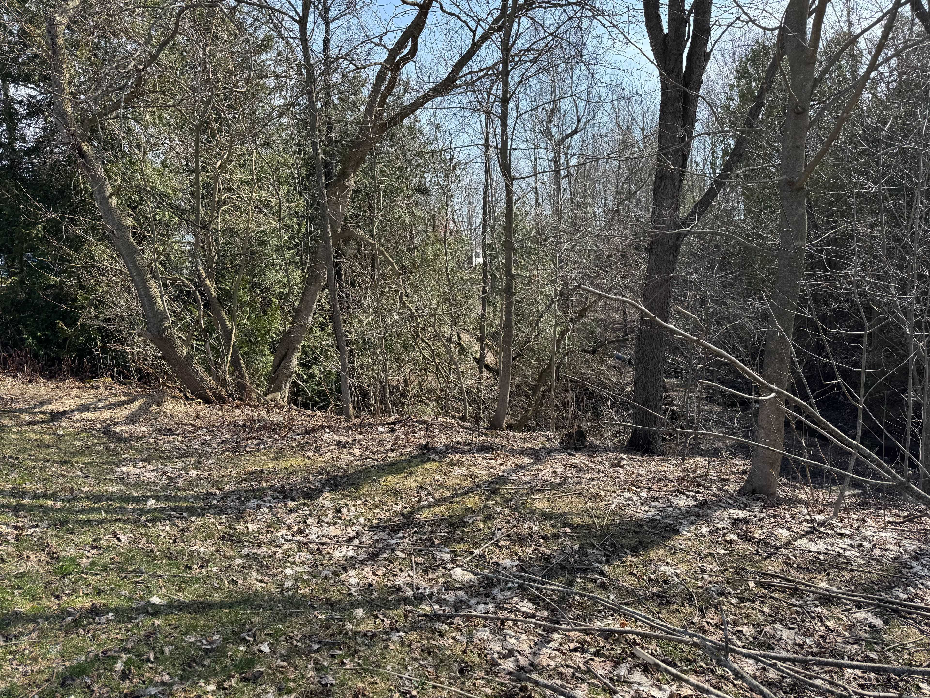 Saugeen Shores, ON N0H 2L0,0 Clarendon ST E