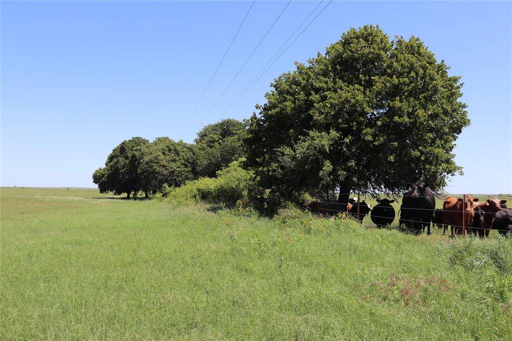 Henrietta, TX 76365,73 Acres West Deer Creek Rd
