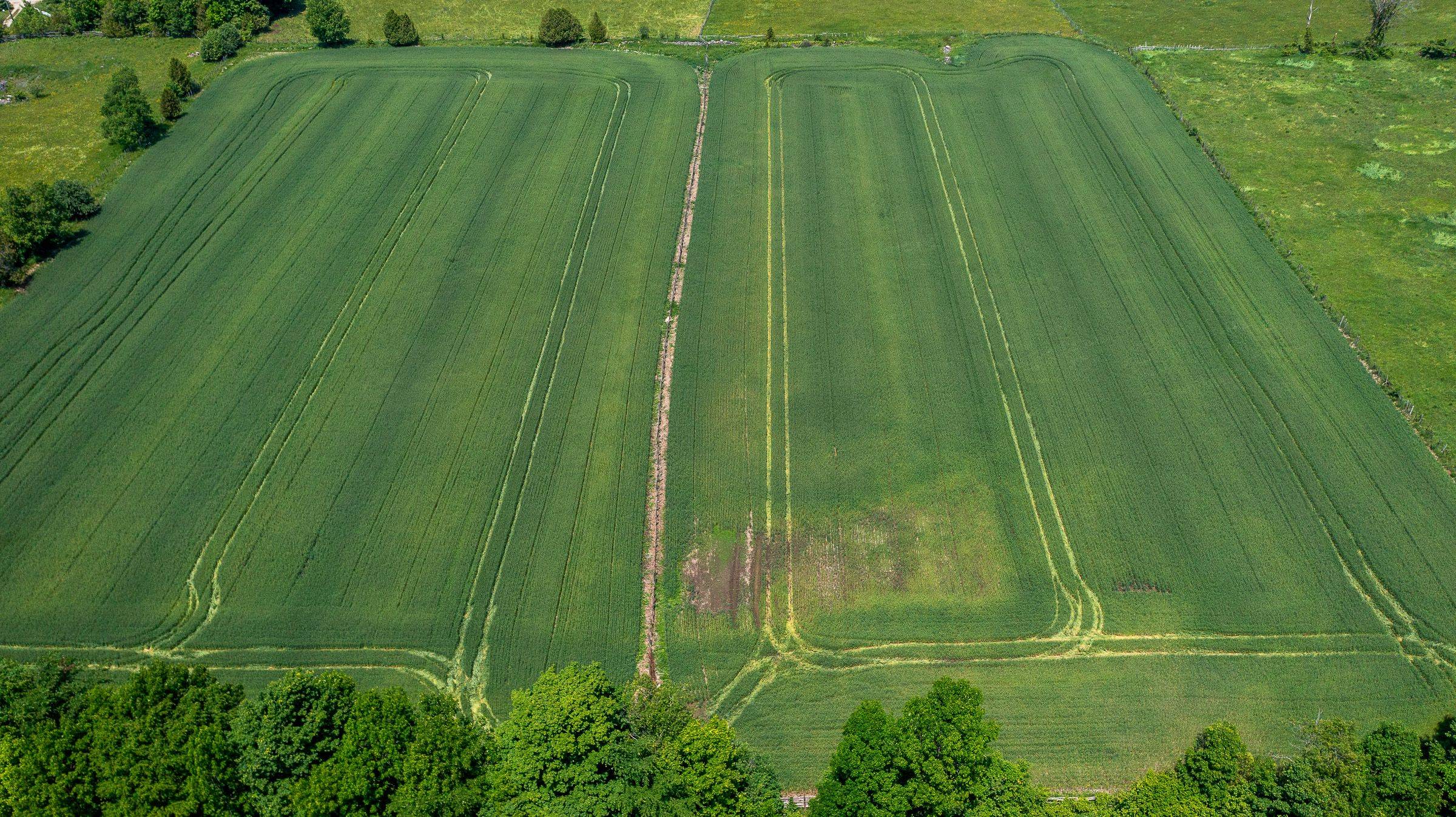 West Grey, ON N0C 1H0,504482 Grey Rd 12 N/A