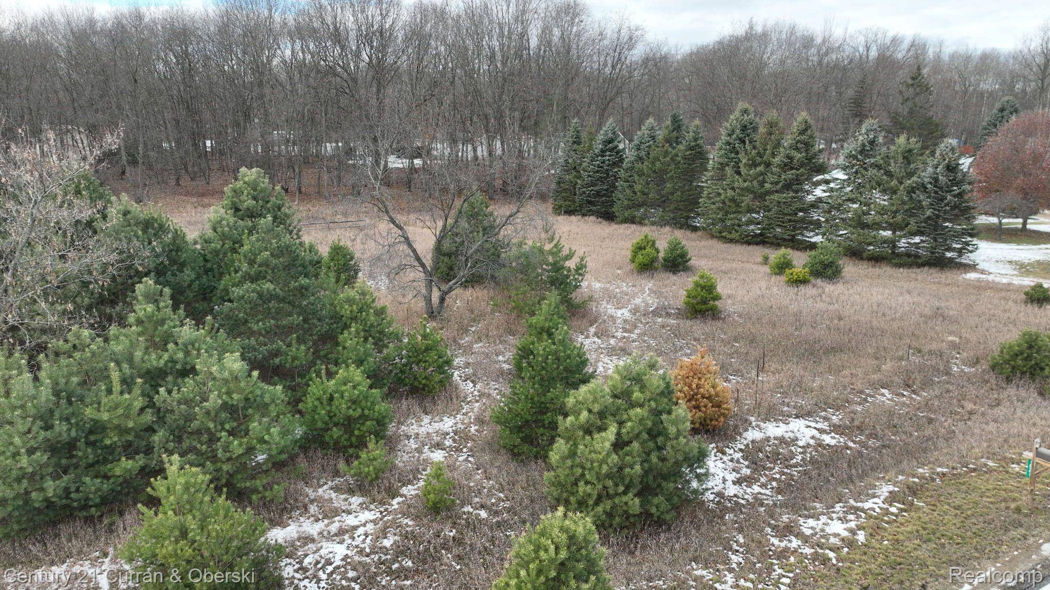 Weidman, MI 48893,1020 BUNDY DR