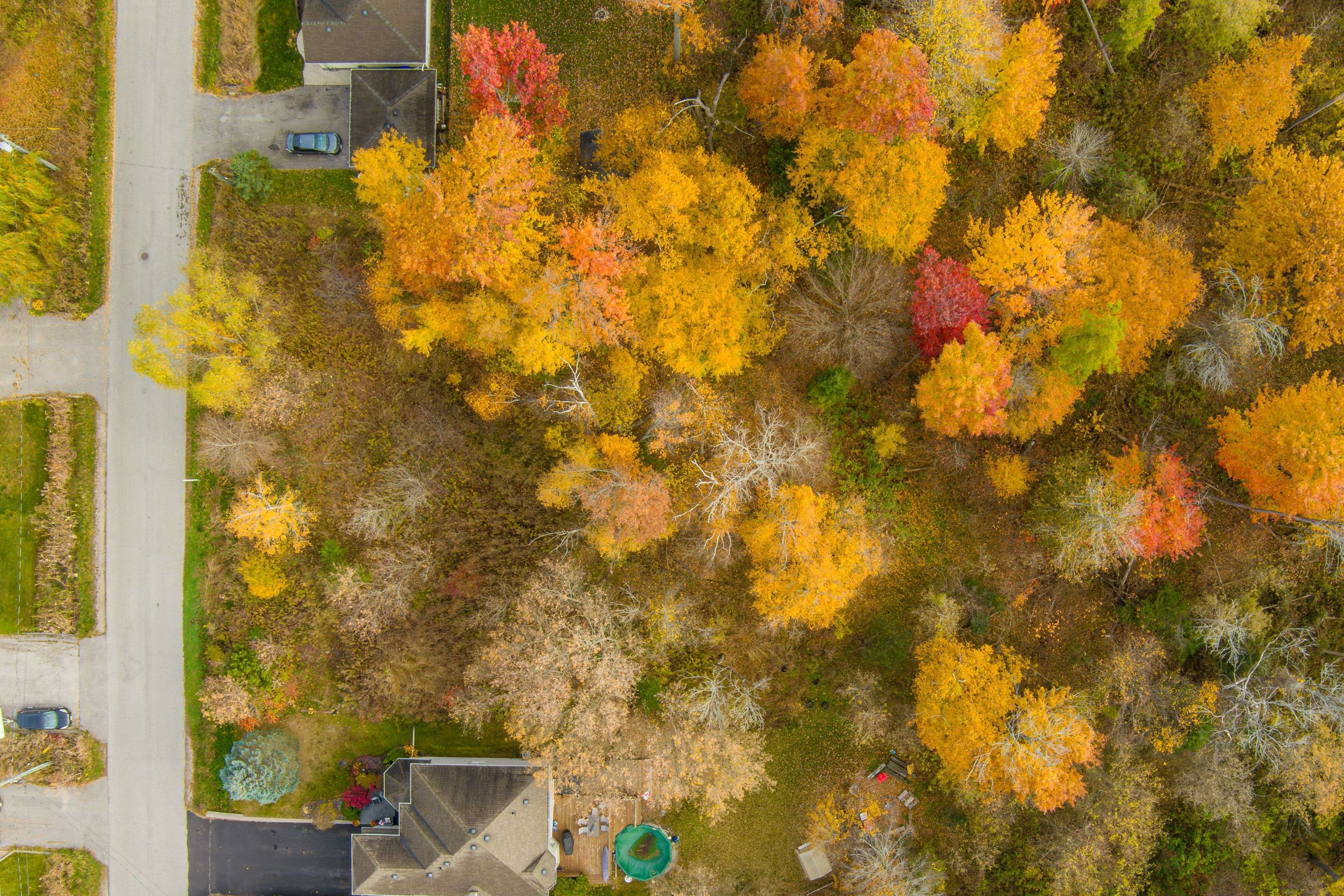 Innisfil, ON L0L 1C0,909C Willow ST